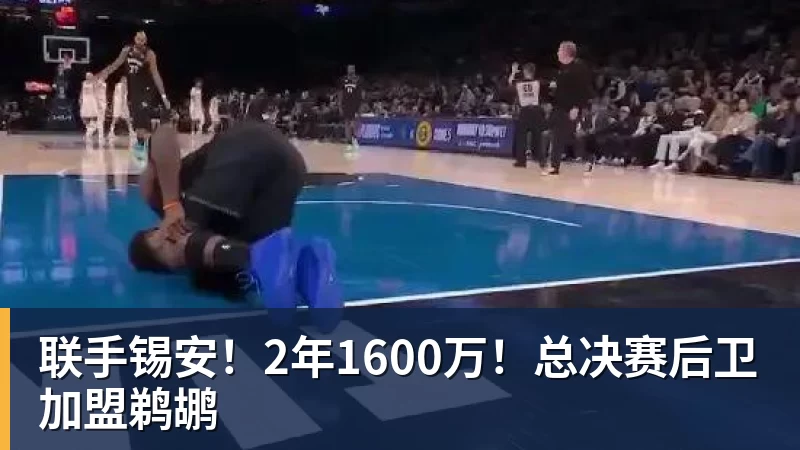 联手锡安！2年1600万！总决赛后卫加盟鹈鹕